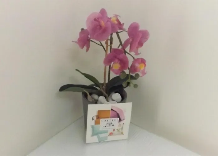 Residenza Aragonese 4*